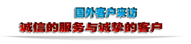 國(guó)外客戶來訪-2。。.jpg